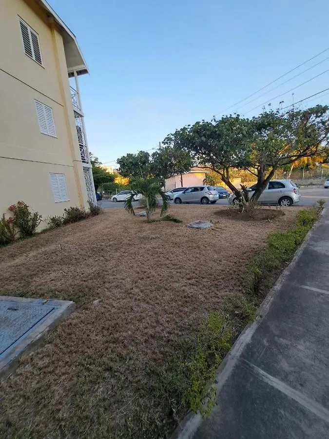 Kozy Kingston Condo At Merrivale Apartments contacts